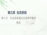 浙科版高中生物选择性必修2第3章第6节生态系统通过自我调节维持稳态课件