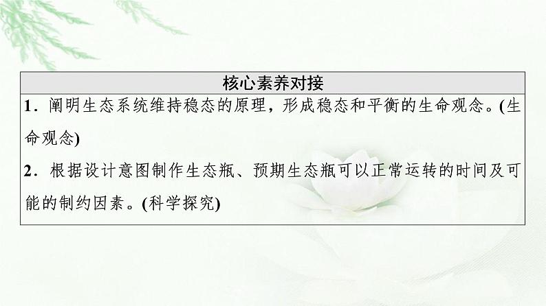 浙科版高中生物选择性必修2第3章第6节生态系统通过自我调节维持稳态课件03