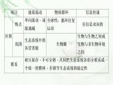浙科版高中生物选择性必修2第3章素能提升课生态系统基本功能的比较与稳定性的模型的判断课件
