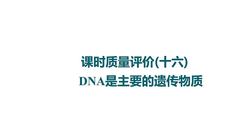 人教版高考生物一轮总复习课时质量评价16DNA是主要的遗传物质课件01