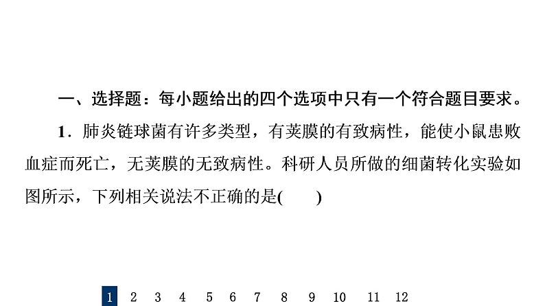 人教版高考生物一轮总复习课时质量评价16DNA是主要的遗传物质课件02