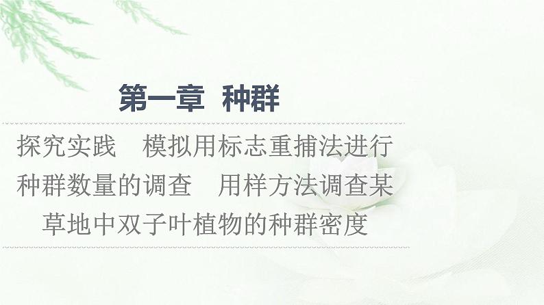 浙科版高中生物选择性必修2第1章探究实践模拟用标志重捕法进行种群数量的调查用样方法调查某草地中双子叶植物的种群密度课件第1页