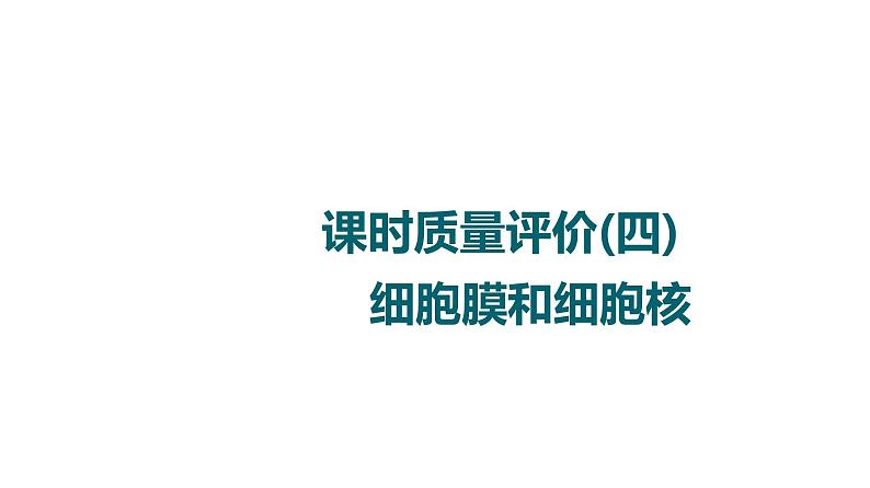 人教版高考生物一轮总复习课时质量评价4细胞膜和细胞核课件01