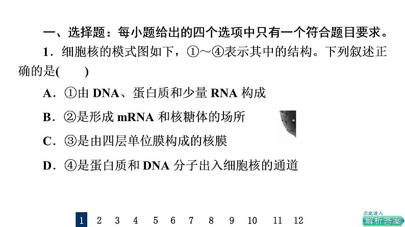 人教版高考生物一轮总复习课时质量评价4细胞膜和细胞核课件02