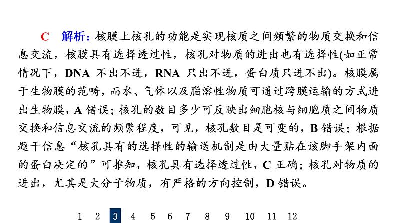 人教版高考生物一轮总复习课时质量评价4细胞膜和细胞核课件07