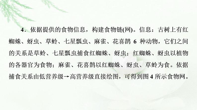 浙科版高中生物选择性必修2第3章素能提升课营养结构的构建及能量流动的计算课件第7页