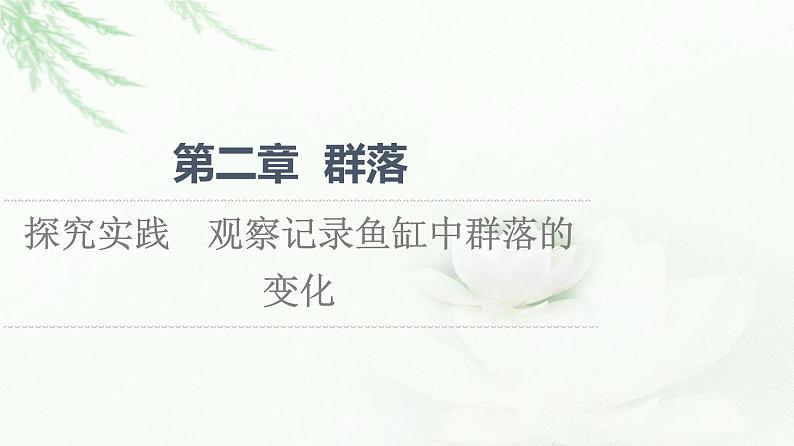 浙科版高中生物选择性必修2第2章探究实践观察记录鱼缸中群落的变化课件第1页