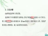 浙科版高中生物选择性必修2第2章探究实践不同群落中土壤动物类群丰富度的研究课件