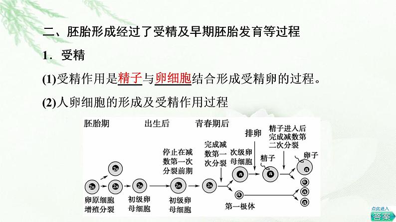 浙科版高中生物选择性必修3第3章第4节第1课时胚胎工程的理论基础课件05