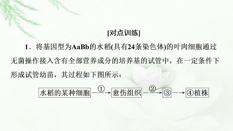 浙科版高中生物选择性必修3第3章第4节素能提升课细胞工程与其他模块相关知识的综合课件第8页