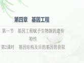 浙科版高中生物选择性必修3第4章第1节第2课时基因结构及目的基因的获取课件