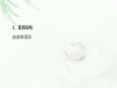 浙科版高中生物选择性必修3第4章第1节第2课时基因结构及目的基因的获取课件
