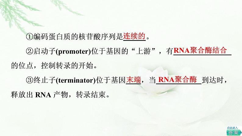 浙科版高中生物选择性必修3第4章第1节第2课时基因结构及目的基因的获取课件06