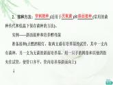 苏教版高中生物选择性必修3第1章第2节第2课时微生物的接种、分离、纯化与计数课件