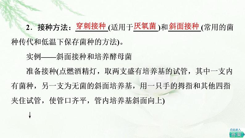 苏教版高中生物选择性必修3第1章第2节第2课时微生物的接种、分离、纯化与计数课件05