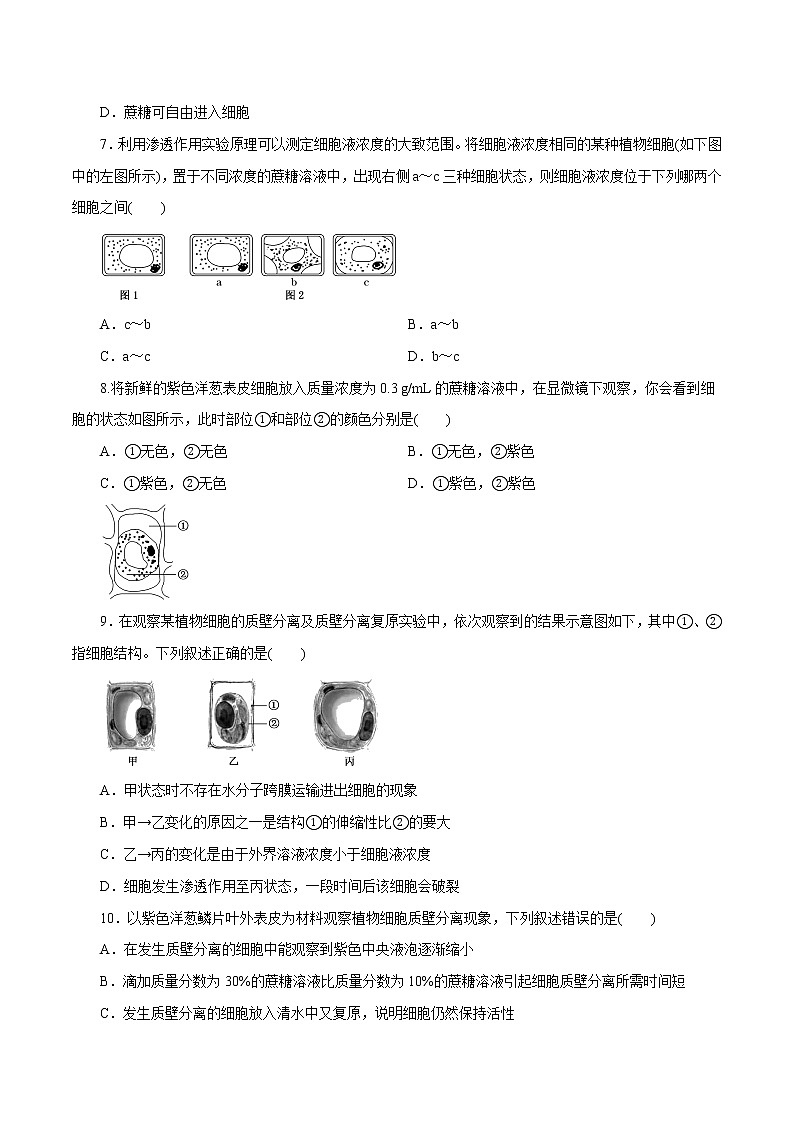 第04章细胞的物质输入和输出（A卷）02