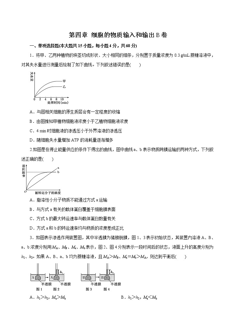 第04章细胞的物质输入和输出（B卷）01