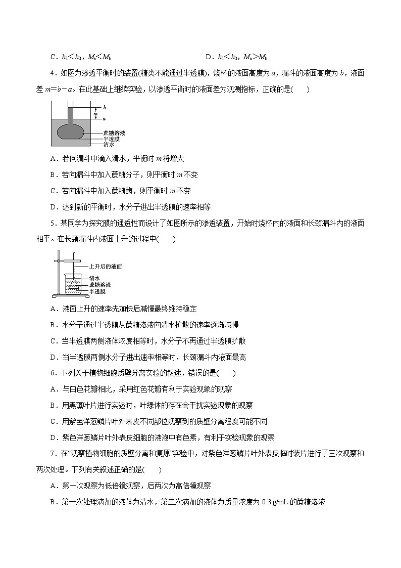 第04章细胞的物质输入和输出（B卷）02