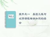 苏教版高中生物选择性必修3第3章素能提升课基因工程与其他相关知识的综合课件