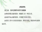 苏教版高中生物选择性必修3第3章素能提升课基因工程与其他相关知识的综合课件
