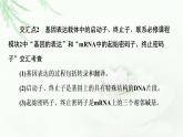 苏教版高中生物选择性必修3第3章素能提升课基因工程与其他相关知识的综合课件
