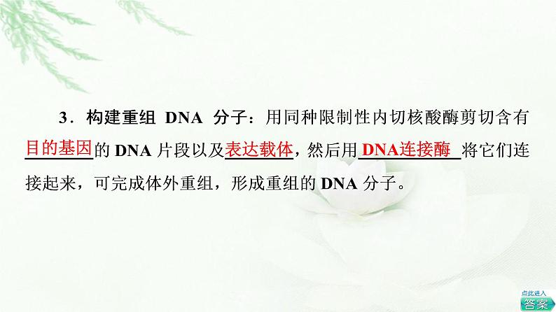 浙科版高中生物选择性必修3第4章第1节第3课时基因工程的基本操作程序课件05