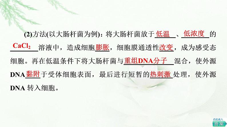 浙科版高中生物选择性必修3第4章第1节第3课时基因工程的基本操作程序课件07