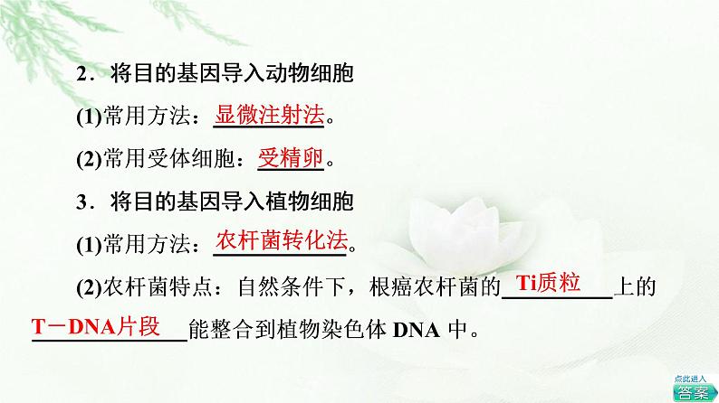 浙科版高中生物选择性必修3第4章第1节第3课时基因工程的基本操作程序课件08