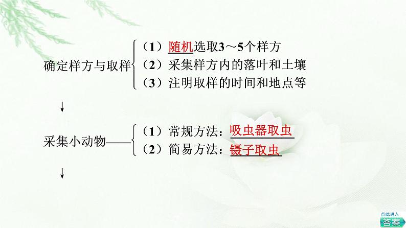 苏教版高中生物选择性必修2第2章探究实践测定土壤动物的物种丰富度课件第4页