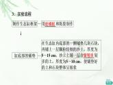 苏教版高中生物选择性必修2第3章探究实践设计制作生态缸，观察其稳定性课件