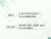 苏教版高中生物选择性必修2第3章探究实践设计制作生态缸，观察其稳定性课件