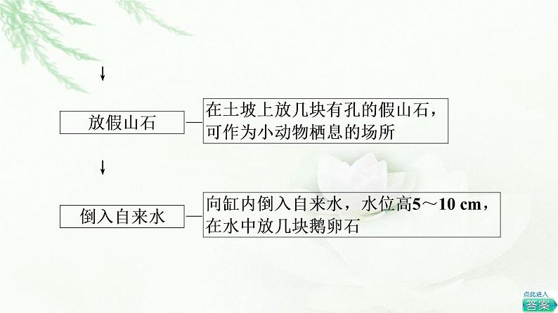 苏教版高中生物选择性必修2第3章探究实践设计制作生态缸，观察其稳定性课件05