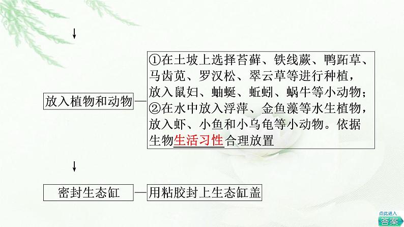 苏教版高中生物选择性必修2第3章探究实践设计制作生态缸，观察其稳定性课件06