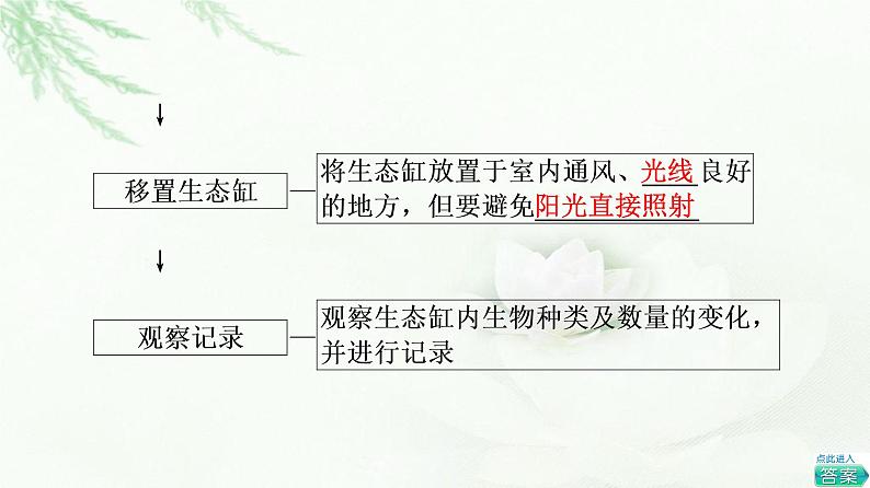 苏教版高中生物选择性必修2第3章探究实践设计制作生态缸，观察其稳定性课件07