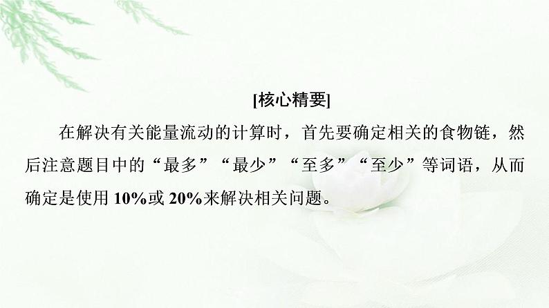 苏教版高中生物选择性必修2第3章素能提升课能量流动的相关计算课件03