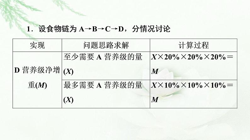 苏教版高中生物选择性必修2第3章素能提升课能量流动的相关计算课件04