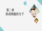 02组成细胞的分子高中生物必修一章末复习课件