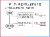 02组成细胞的分子高中生物必修一章末复习课件
