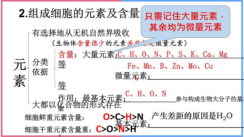 02组成细胞的分子高中生物必修一章末复习课件04