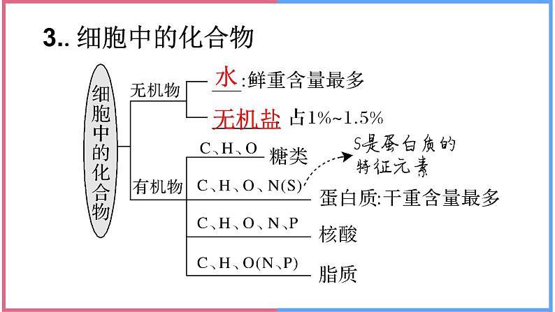 02组成细胞的分子高中生物必修一章末复习课件05