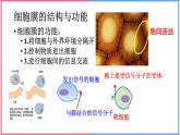 03细胞的基本结构高中生物必修一章末复习课件