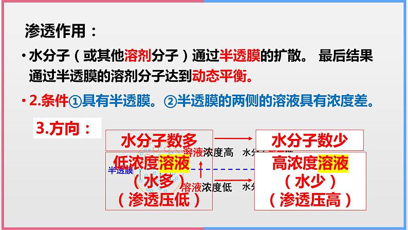 04细胞的物质输入和输出高中生物必修一章末复习课件第2页