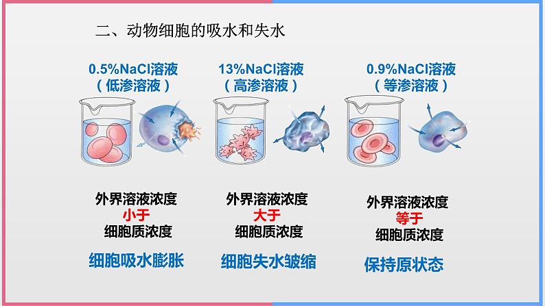 04细胞的物质输入和输出高中生物必修一章末复习课件第3页