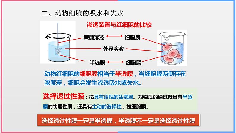 04细胞的物质输入和输出高中生物必修一章末复习课件第4页