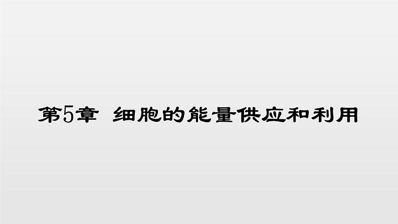 05细胞的能量供应和利用高中生物必修一章末复习课件01