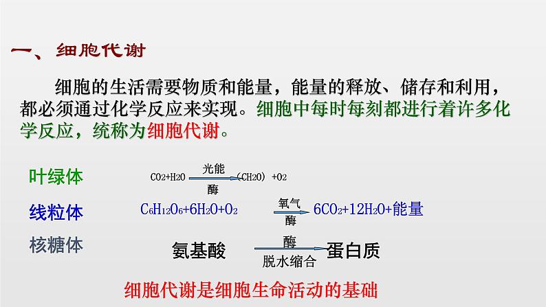 05细胞的能量供应和利用高中生物必修一章末复习课件02