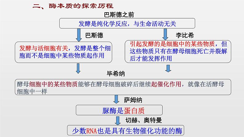 05细胞的能量供应和利用高中生物必修一章末复习课件03