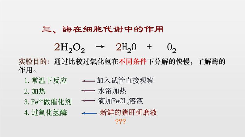 05细胞的能量供应和利用高中生物必修一章末复习课件05