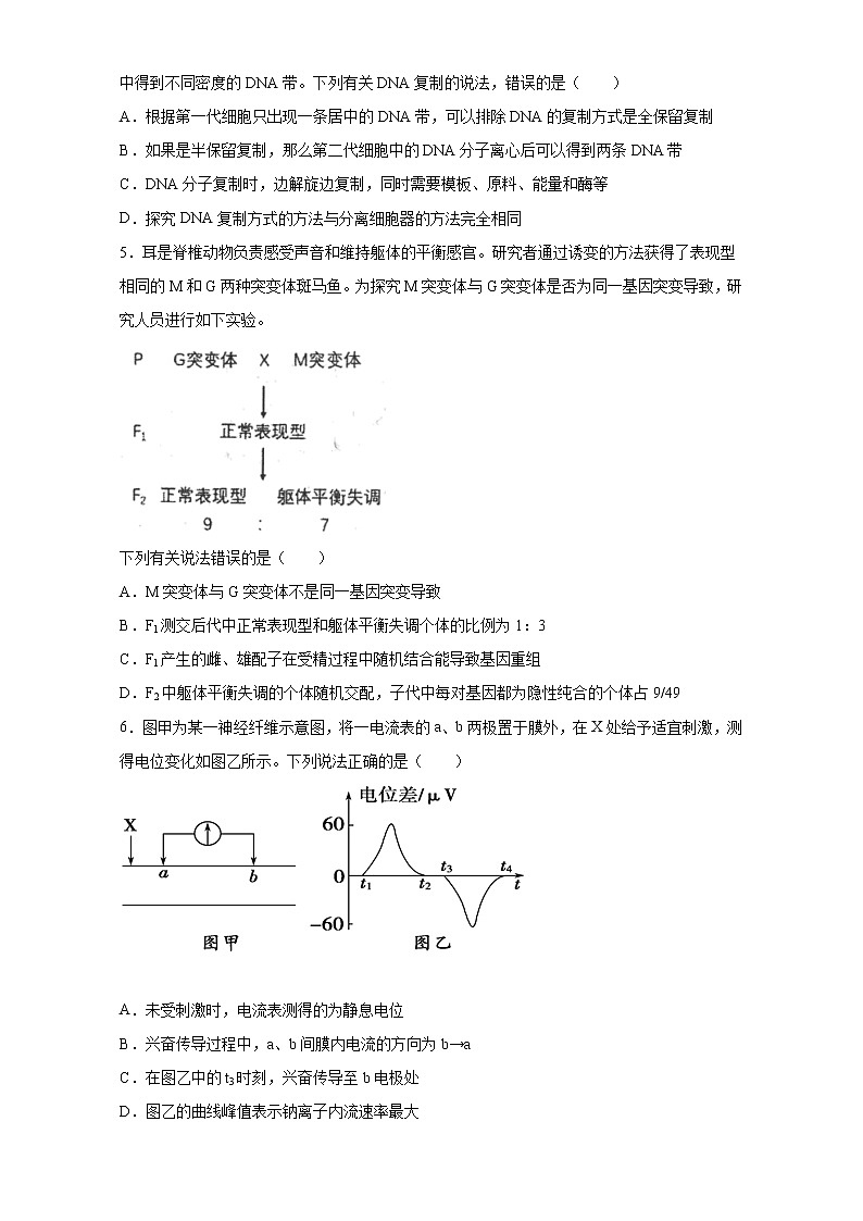 2021-2022学年上学期山东省青岛市3中高三期中生物试题（无答案）第2页