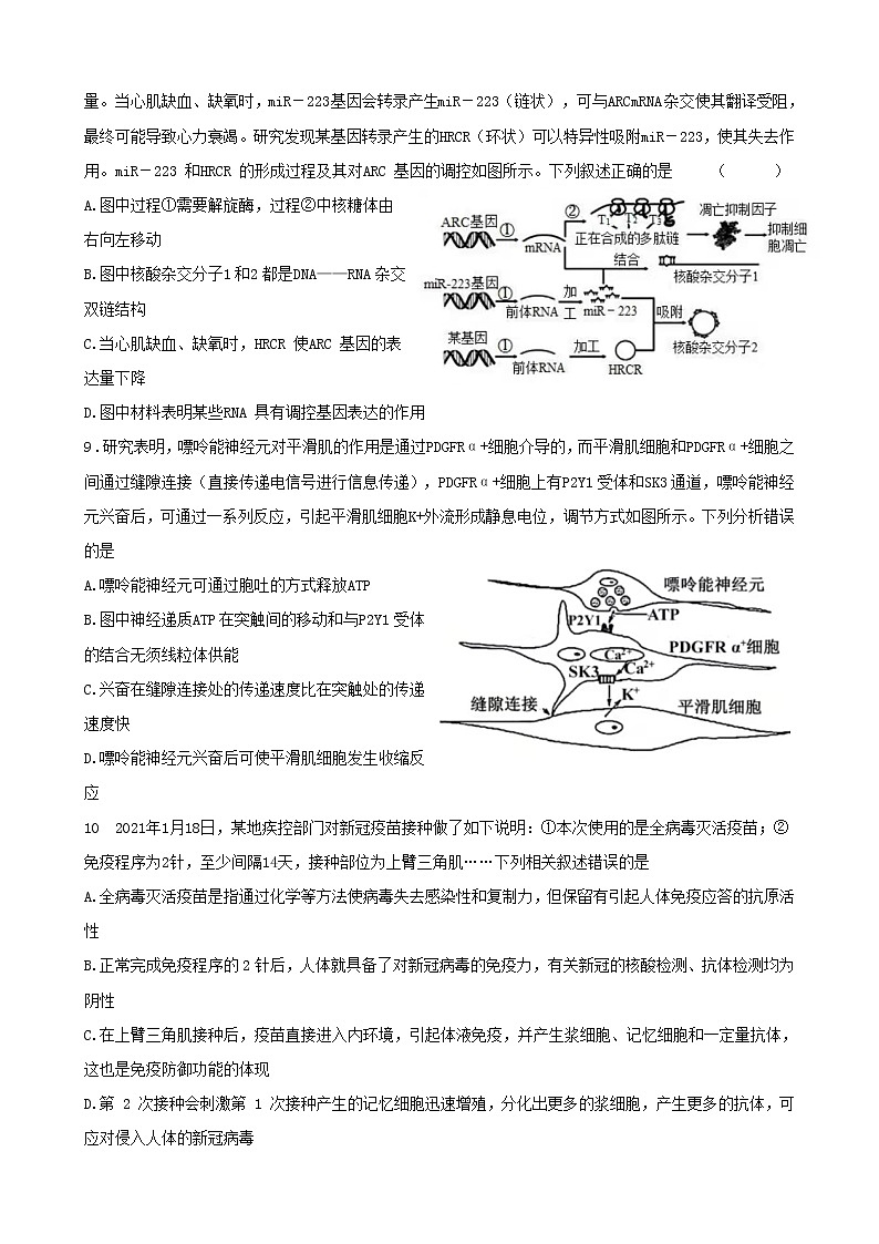 2021-2022学年上学期山东省青岛市17中高三期中生物试卷（无答案）第3页